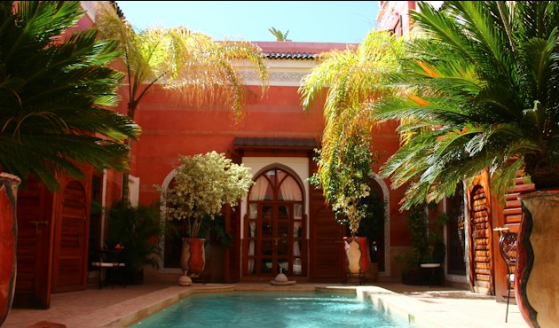Piscine du riad entourée de palmiers